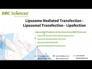 Lipofection - Liposome Mediated Transfection - Liposomal Transfection - BOC Sciences