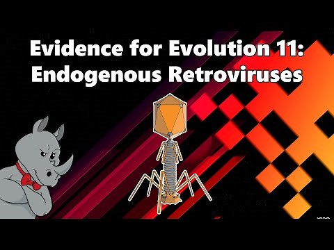 Evidence for Evolution - Endogenous Retroviruses