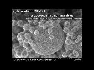 [Materials] High resolution SEM of mesoporous silica nanoparticles