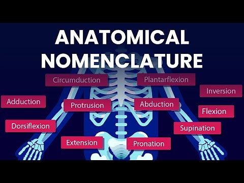 Learn Anatomical Positions and Movements in Minutes!