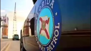 Florida Department of Highway Safety and Motor Vehicles on Reels