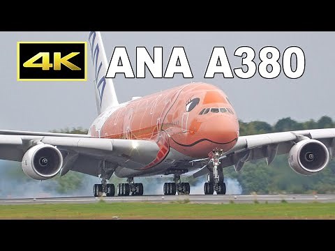 [4K] ANA A380「FLYING HONU」3号機が成田空港に到着 / ANA Airbus A380 [JA383A] Delivery Flight at Narita Airport