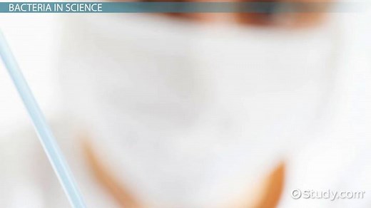 Colony-Forming Unit | CFU Definition & Importance