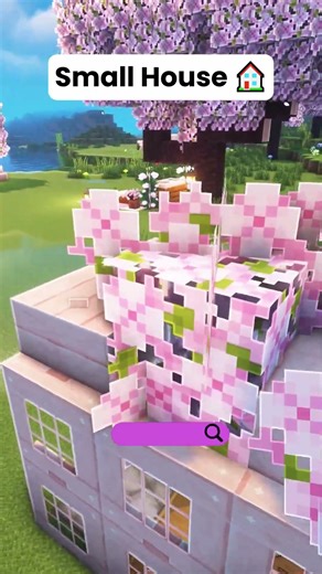 Minecraft Small House 🏠 #shorts