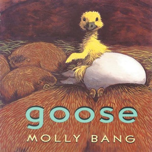 Goose by Molly Bang | Full Audiobook