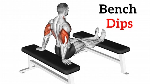 Bench Dips: How To Do, Muscles Worked and Form