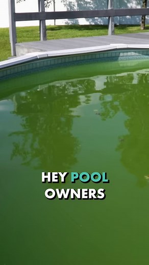 6K views · 53 reactions | Hey Pool Owners! Here’s the ONE thing that...