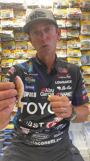 8.8K views · 193 reactions | The brand new Berkley Fishing Powerbait Gilly has unlimited rigging options! Rigging method #8 on a NED HEAD!! VMC Hooks Abu Garcia Toyota USA | Mike Iaconelli | Facebook