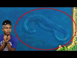 Weird Things Spotted Deep On Google Maps Part 7