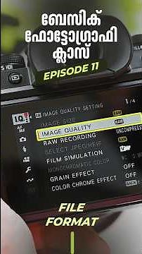 RAW vs JPEG vs HEIF Explained | Camera Craft Photography Basics #photography #camera #phototips