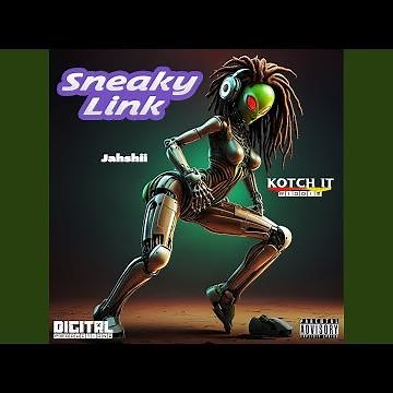 Sneaky Link