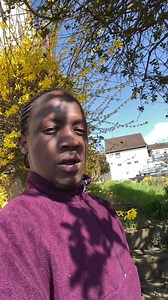 6.5K views · 172 reactions | What's a typical village in Germany really like? Meet the Germans follower Mark took a stroll through Nohn in the southwest of Germany to get a feel for village life  | DW Euromaxx | Facebook