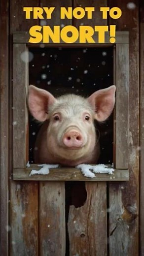 Try Not to Snort 😆 | Funniest Cute Animal Moments Ever!