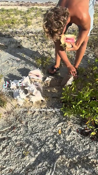 Treasure Hunting for Conch Shells in Barbuda