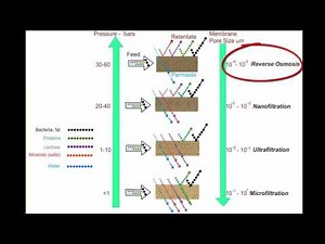 Membrane Systems - Terminology
