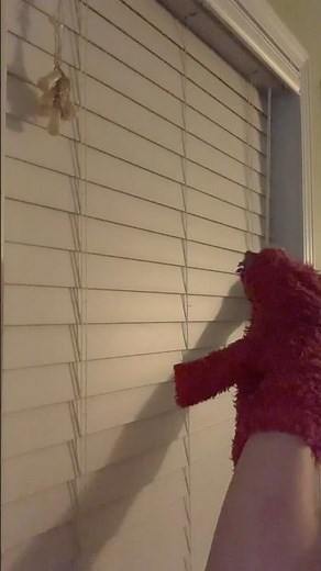 elmo world mr noodle about phone and computers