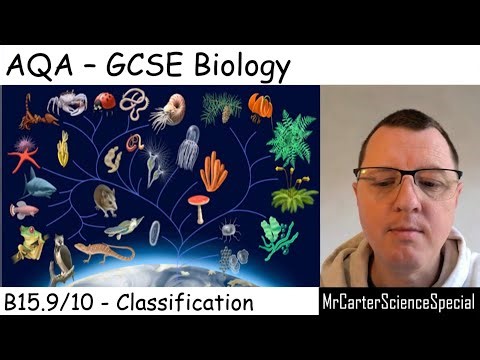 B15.9/10 - Classification - AQA Biology GCSE 9-1