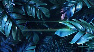 2.5K views · 26 reactions | Profitez de vos applications favorites | Huawei Mobile | Facebook