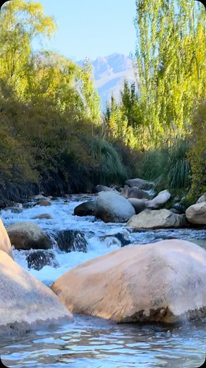 101 reactions · 24 shares | El otoño es la mejor estación en el Manzano Histórico para disfrutar de las Cabañas Tierra de Sol así celebra el día del Trabajador #tierradesol #complejotierradesol #love #tiktok #loschacayes #loschacayes #instagram #valledeuco #photoinstagram #descanso #photoinstagram #diadeltrabajador #familia #familiaviajera | Cabañas Tierra de Sol | Facebook