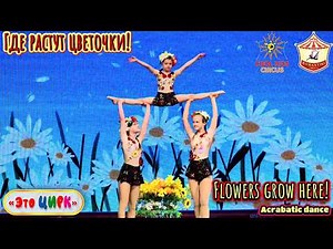 Acrobatic dance "Where flowers grow!", children's circus show.