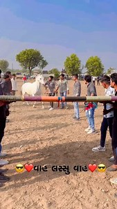 49K views · 9.8K reactions | Gohil Ra Ja on Reels | Facebook