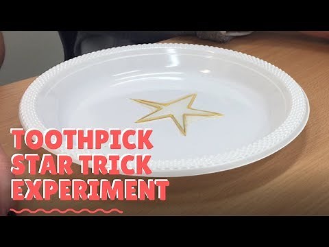 Toothpick Star Trick - Fun Science Experiment | Bright Minds