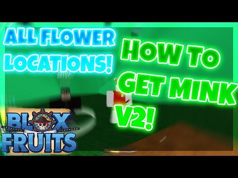 How to get MINK V2 Race in Blox Fruits! ALL FLOWERS Location! [ROBLOX]