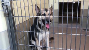 3.9K views · 58 reactions | No longer listed FREEDOM -#A1480861 I...