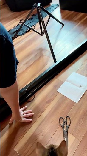 Outdoor Projector Screen with Stand Tripod, Indoor Pull Up Portable Projector Screen, 80in 🔗⬇️❤️