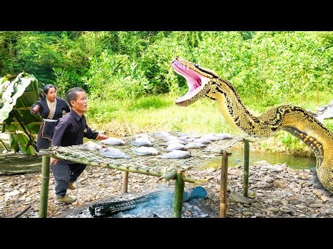 Amazing Fish Trap, How to Process Smoked Fish - Giant Python Ambushes Dwarf Family While They Catch