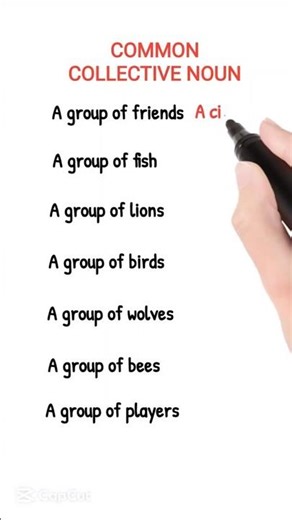Common Collective Nouns You Must Know!