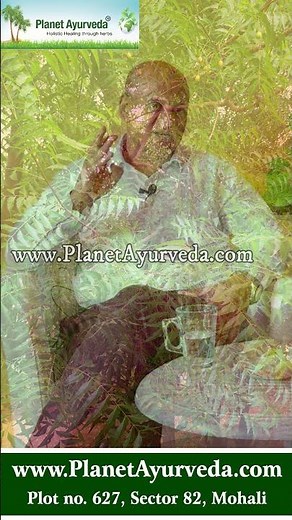 Neem - Ayurvedic Herb for Skin Disorders, Blood Purification, Diabetes, Dandruff & Other Benefits