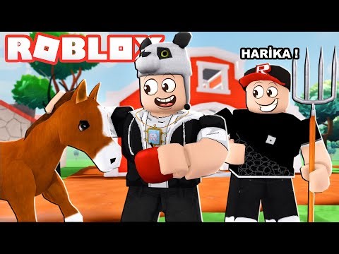 At Çiftliği Kuruyoruz! Roblox