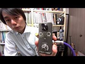 エレキバイオリン・ループパフォーマンス入門-2 ルーパー(Ditto Looper)の機能と使い方について ループエフェクターの録音・オーバーダブ(重ね録り)・ストップ・消し方など