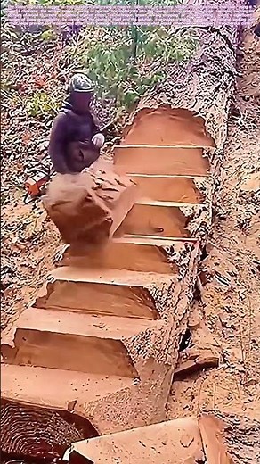 Carving the Slope: How a Felled Giant Becomes a Stairway to the Summit