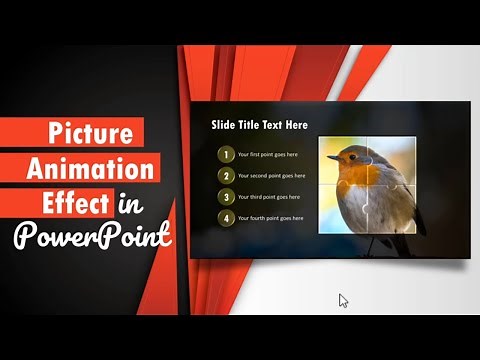 Picture Animation Effect in PowerPoint