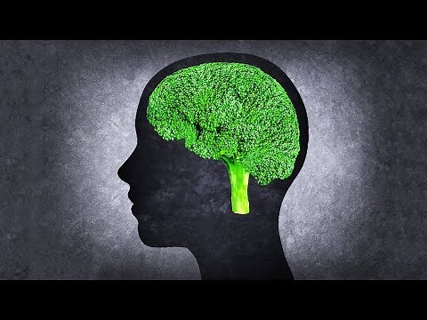 The 10 Best Foods To Boost Brain Power and Improve Memory