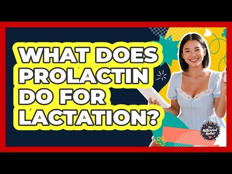 What Does Prolactin Do For Lactation?