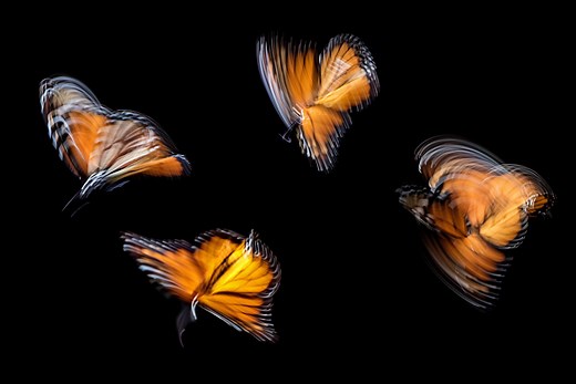 The 4 Processes of Motivational Interviewing - Share Collaborative