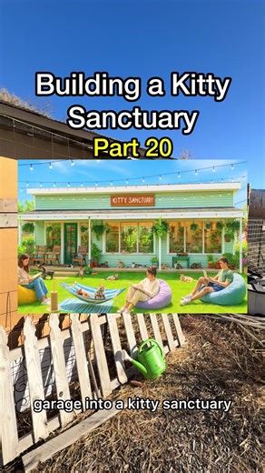 Building a Kitty sanctuary is going to take a lot more work and money than we expected 😂🐱 Tag @MrBeast maybe he can help Hahha #pov #cats #kittysanctary #kittens