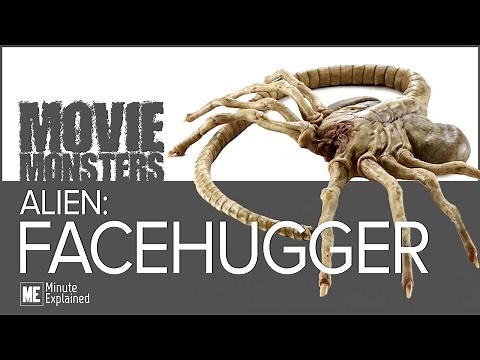 Alien FACEHUGGERS Explained!