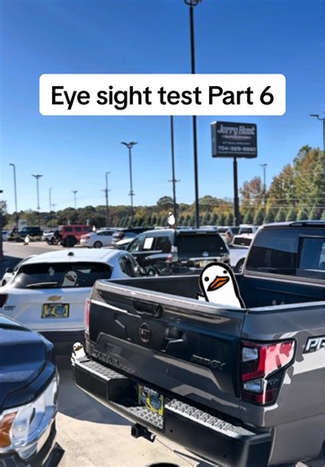 Spot the Ducks: Eye Sight Test Challenge Part 6