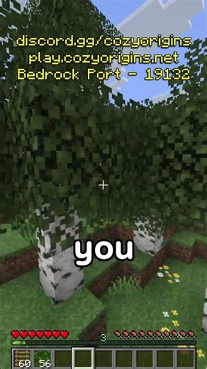 Best new Java/Bedrock Crossplay Origins SMP 26.1+