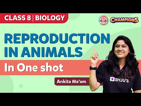 Reproduction in Animals Class 8 Science (Chapter 9) in One Shot | BYJU'S - Class 8