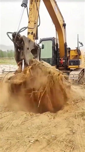 Quick and Easy Land Clearing with Excavator Stump Removal