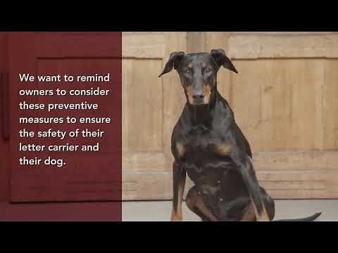 Dog Bite Prevention and Awareness Tips