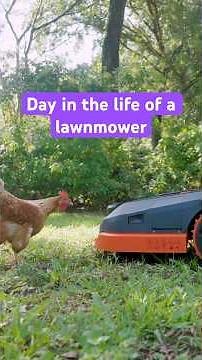 As we outsource more to smart home gadgets, have we thought about how we’d react in their place?