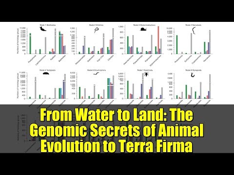 From Water to Land: The Genomic Secrets of Animal Evolution to Terra Firma