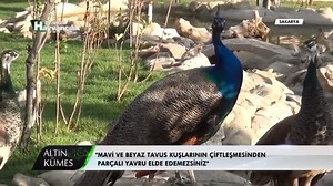 173K views · 735 reactions | https://youtu.be/i3ISd5udZZs Altın...