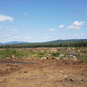 Surprising Rural Definition: 5 Traits That Define Charm